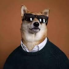 Wahidin Halim avatar