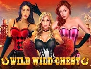 Wild Wild Chest game icon
